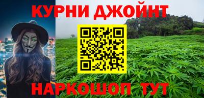 шишки Гагарин