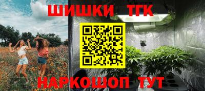 шишки Гагарин