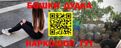 эйфоретик Гатчина