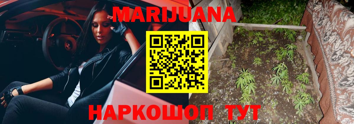Шишки марихуана White Widow Кстово